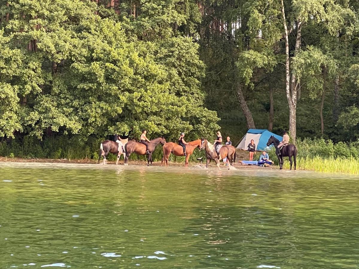 Schadzka W Dwunastce Z Widokiem Na Jezioro Borsk Exteriér fotografie